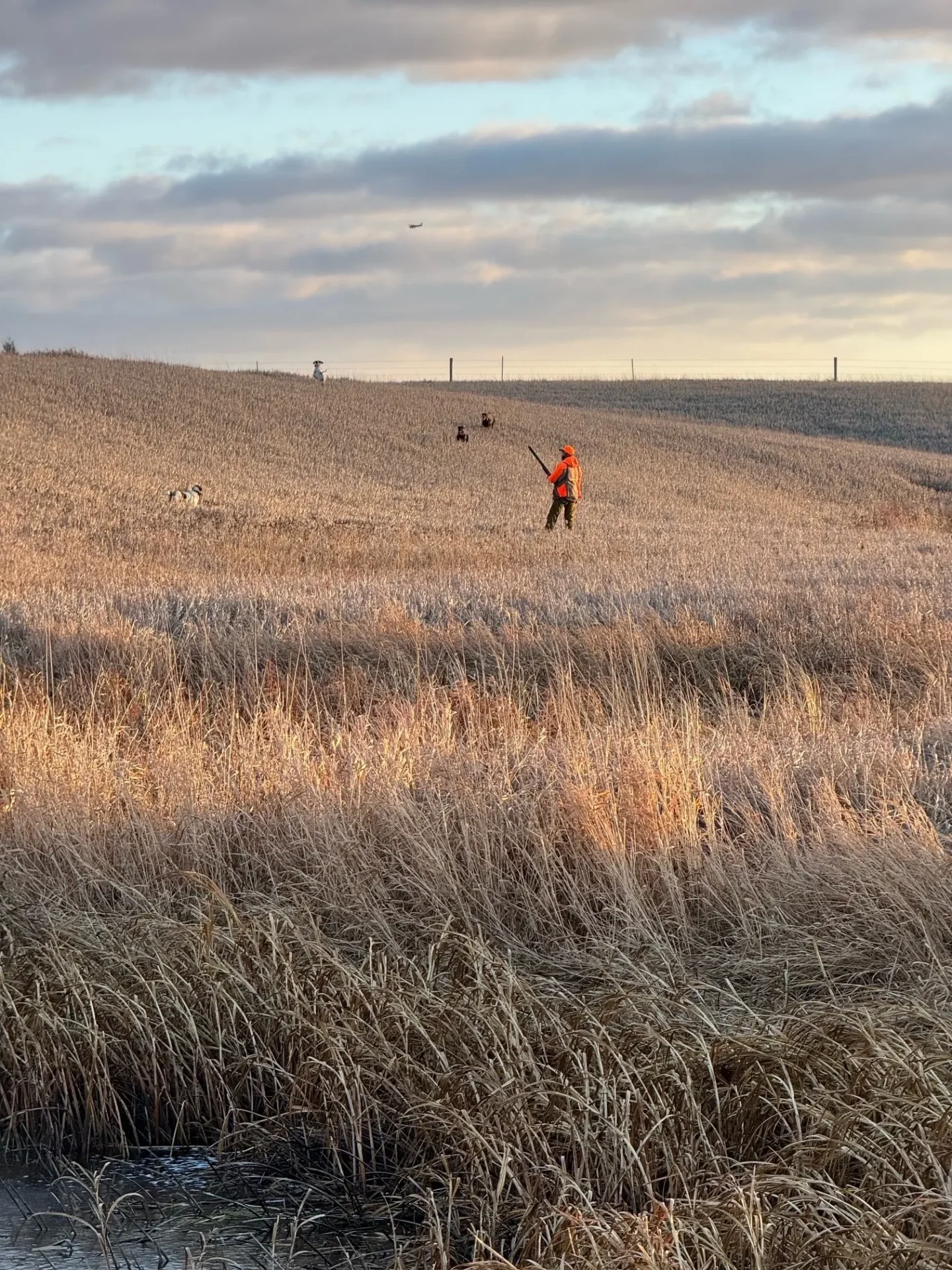 A person in an orange jacket standing on top of a field.