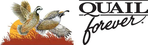 A bird flying over some grass with the words " quail forever ".