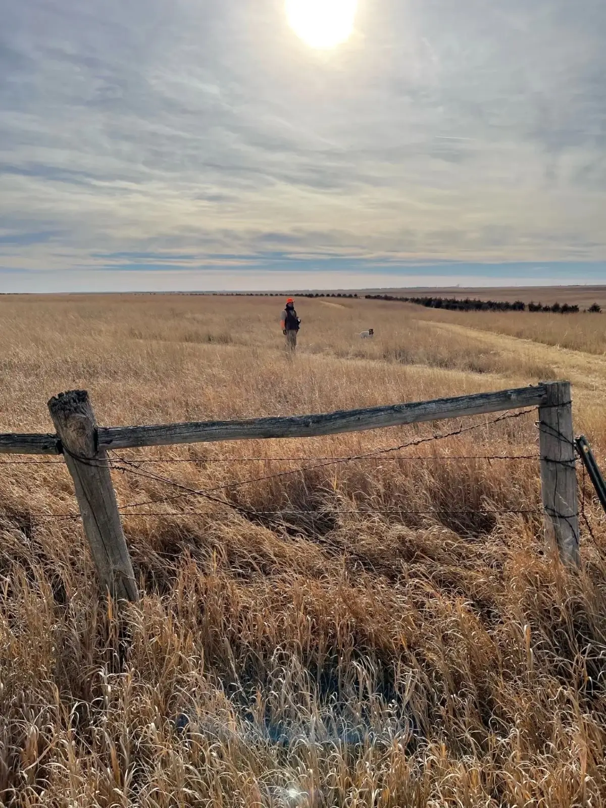 A person standing in the distance behind a fence